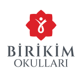 Birikim Okulları