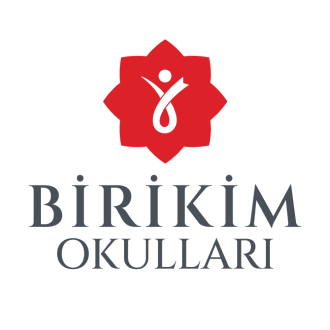 Birikim Okulları